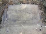 image of grave number 498939